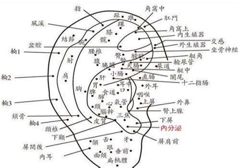 右耳下有痣|女人右耳朵有痣图解 耳朵痣十大福痣图片